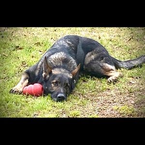 Meet your Posher, Bryan